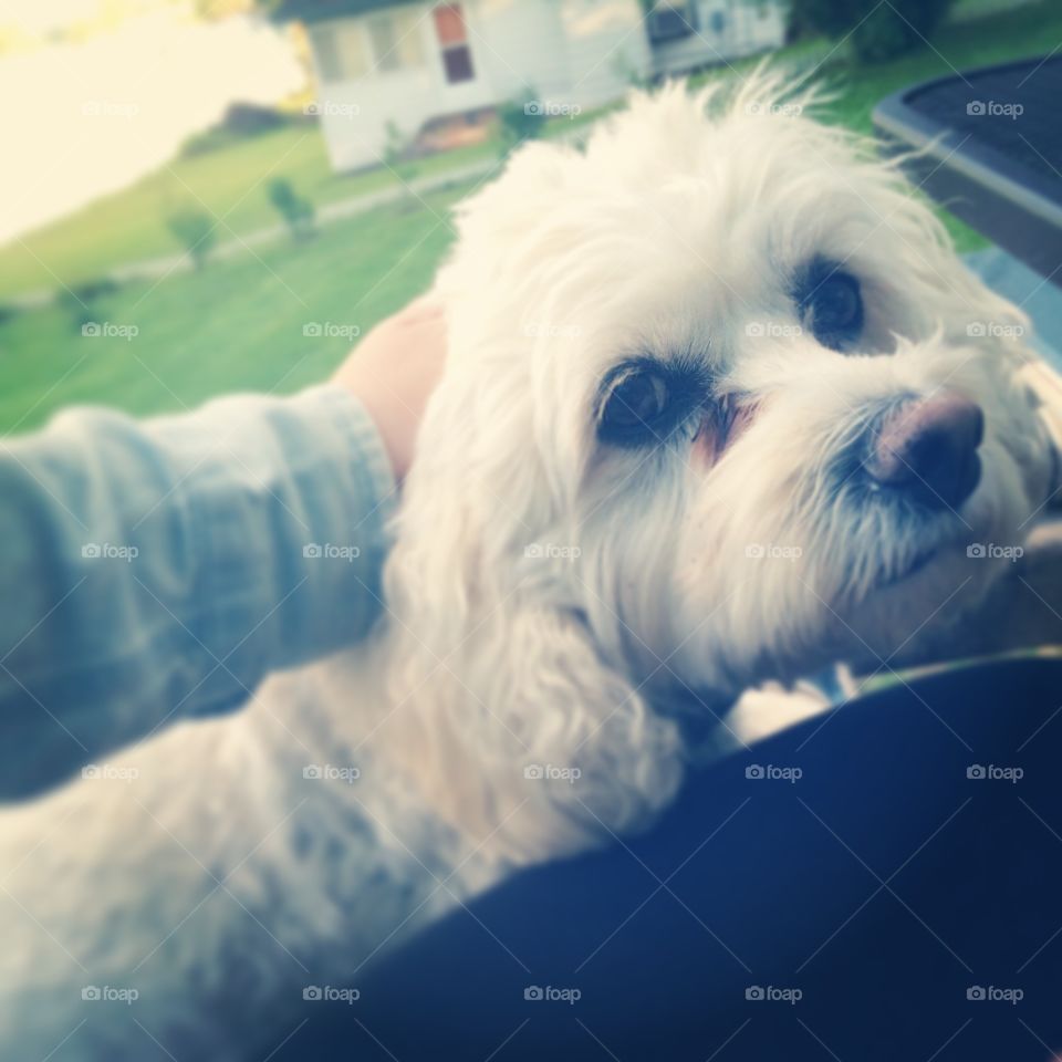 She can never get close enough 