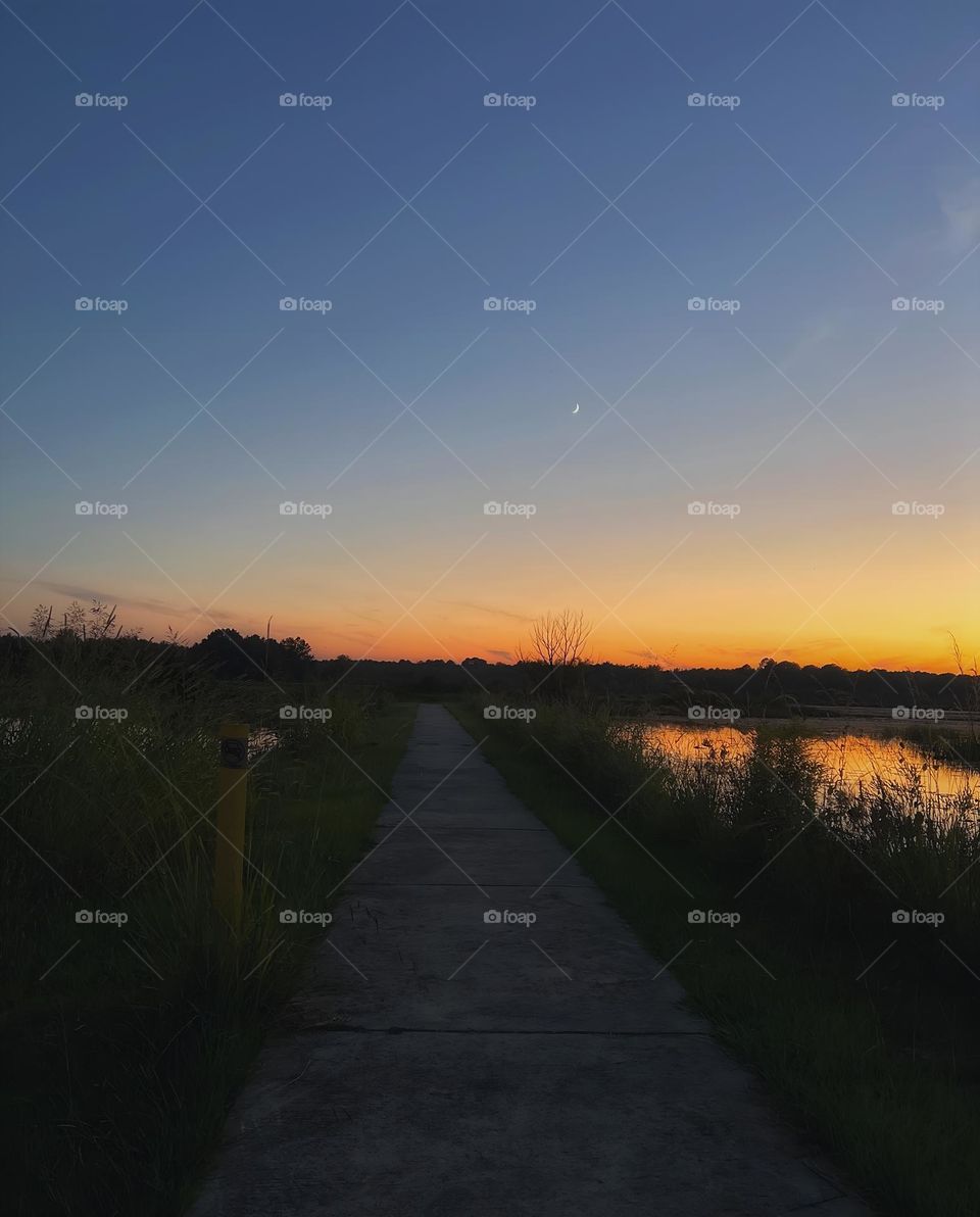 Night falling on the Noxubee Refuge.