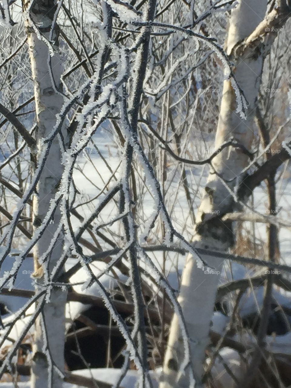 White on white heavy frost dancing like a little jagged Pieces of glass nature is a wonderful thing so much beauty around us