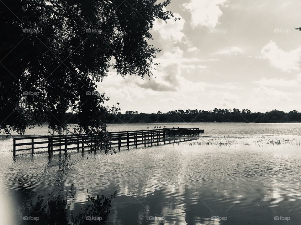 Pier under water in noir et blanc for dramatic effect 