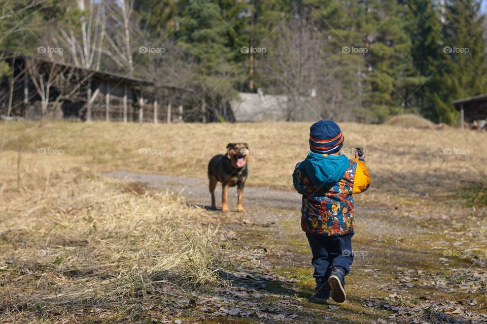 Little toddler boy playing with dog outside