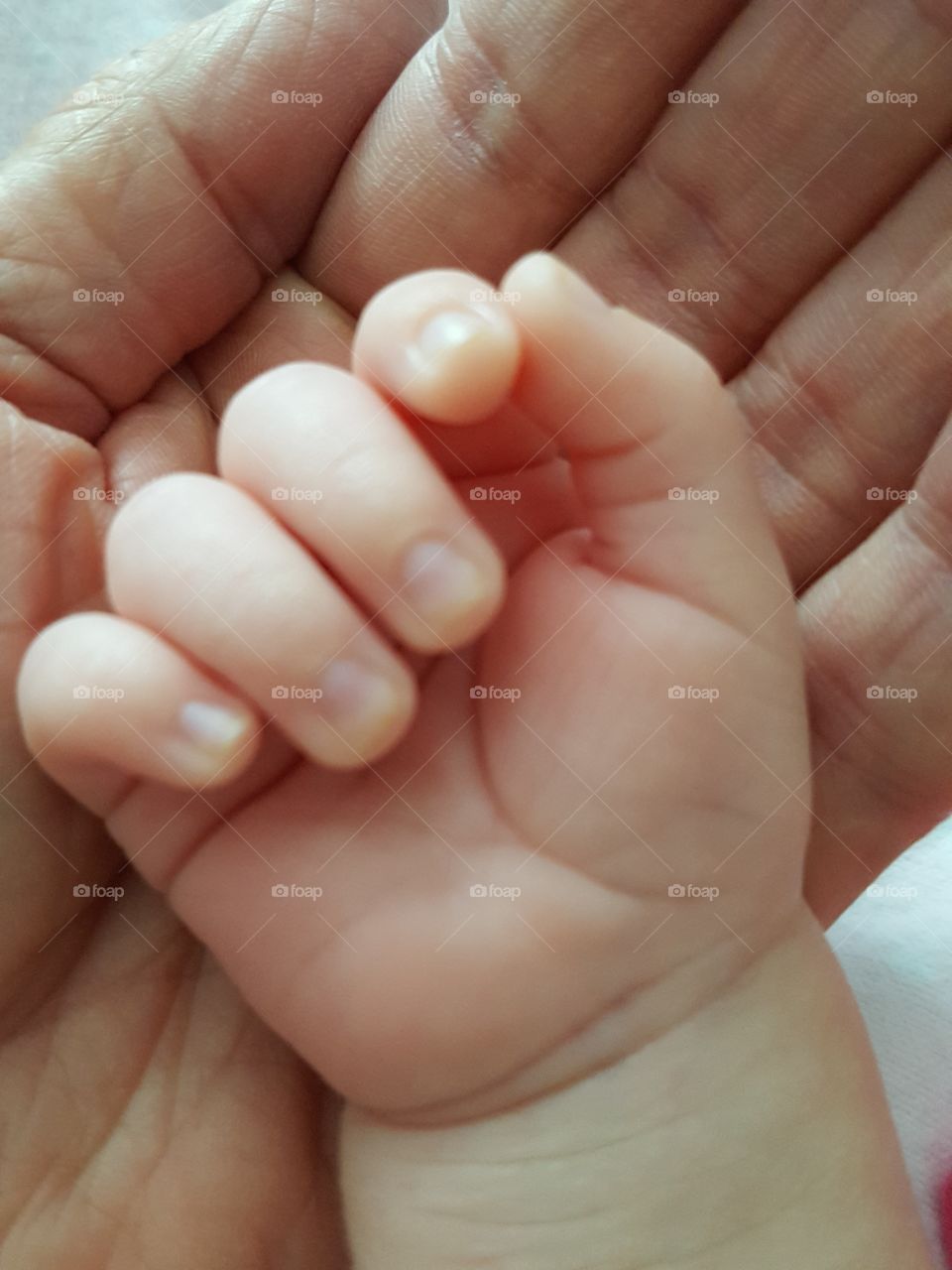 baby and grandmother hands