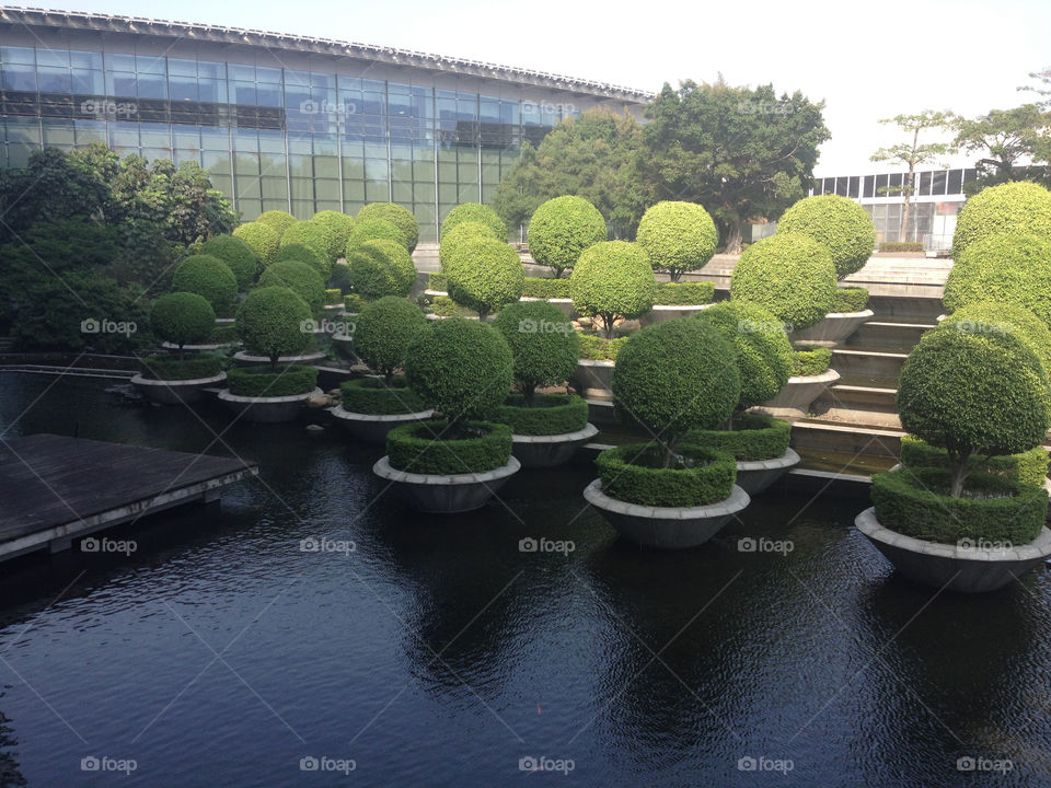 Chinese garden in the courtyard of exhibition center in Guangzhou 