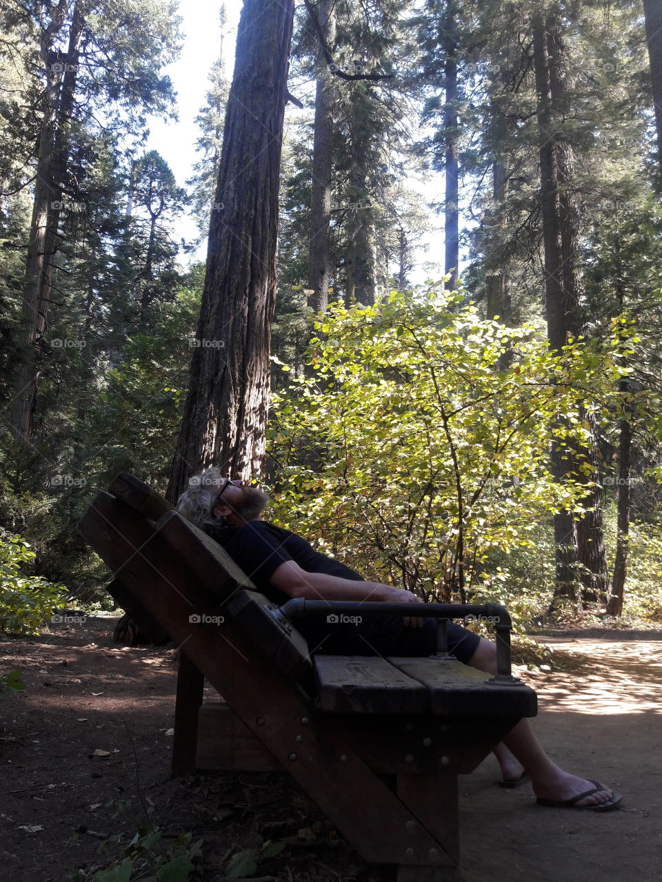 Bench with a view