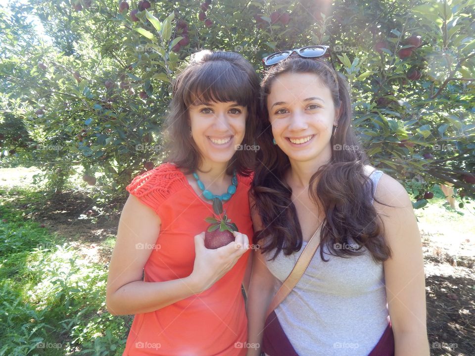 Apple picking sisters 