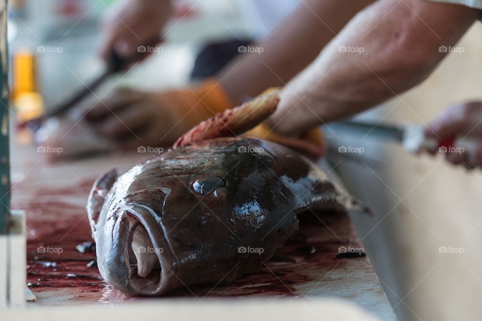 Man slice a tuna fish to prepare for the food 