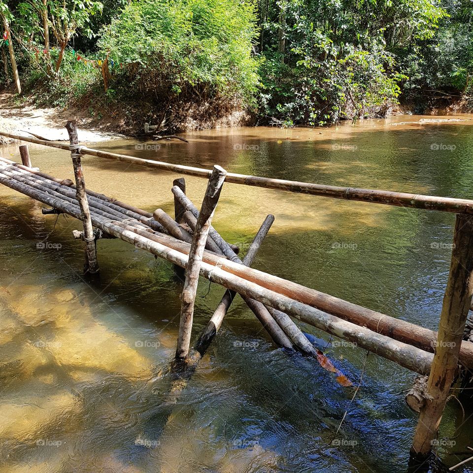 Bamboo bridge