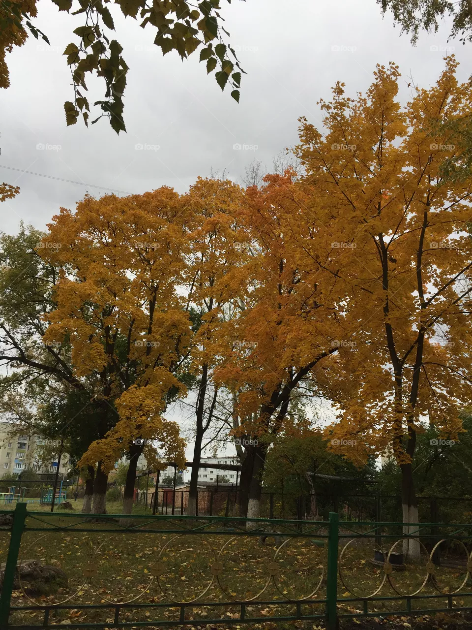 Autumn 