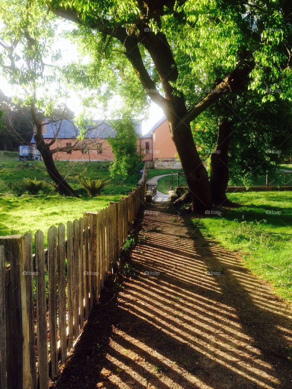 Picket Fences at Port Arthur
