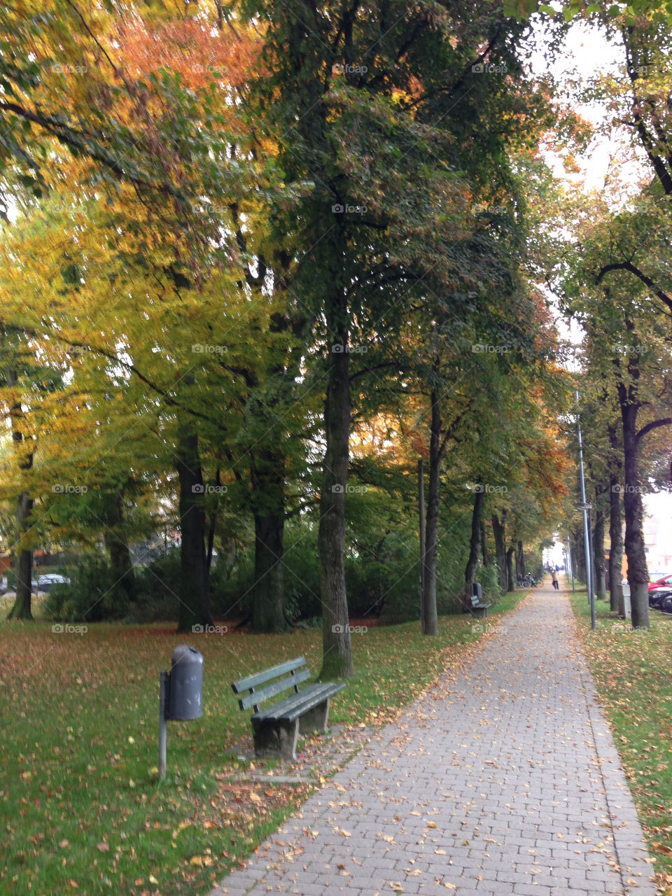 trees leaves park autumn by lexlebeur