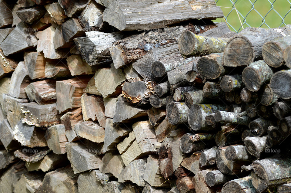 Stacked firewood