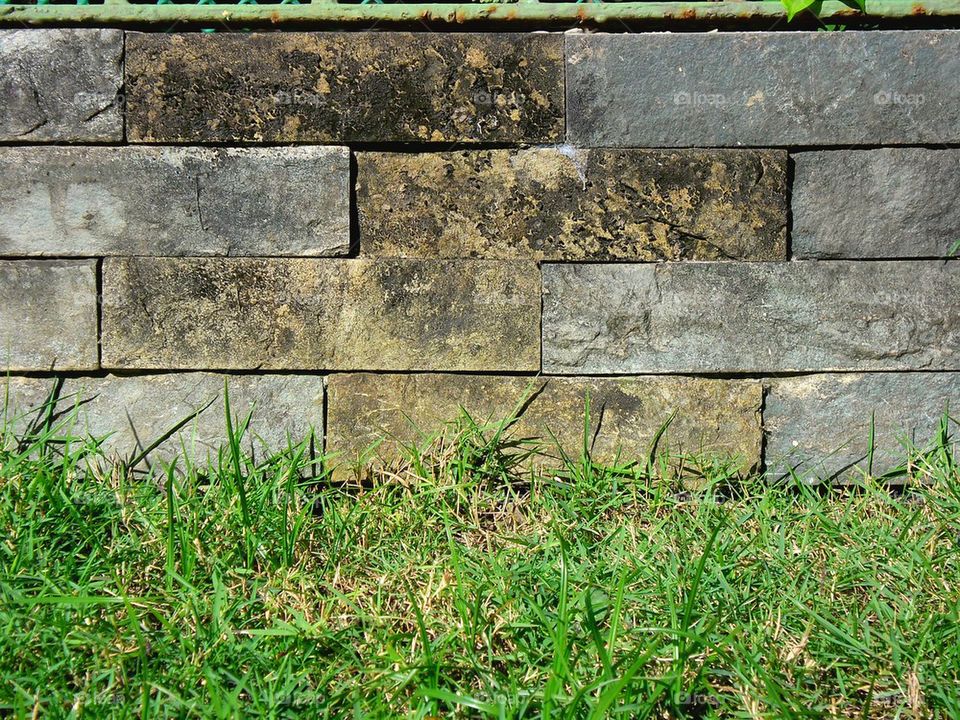 texture background, concrete brick wall and green grass