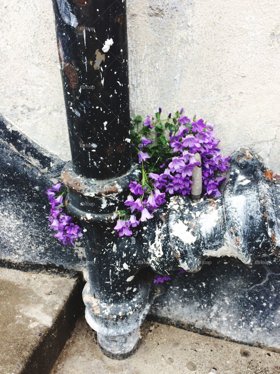 Nature and structure 