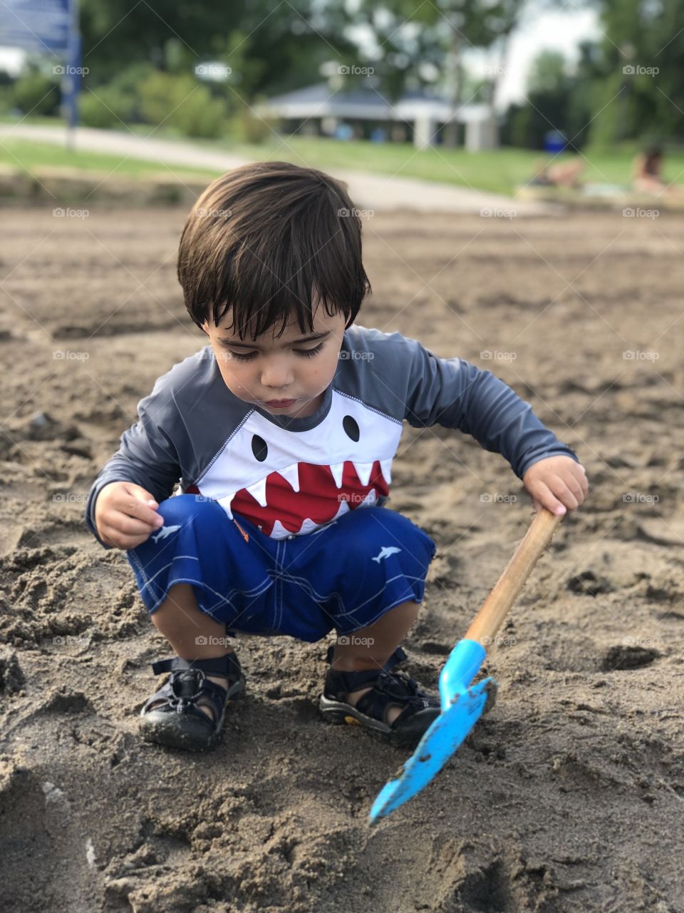 Digging at the beach