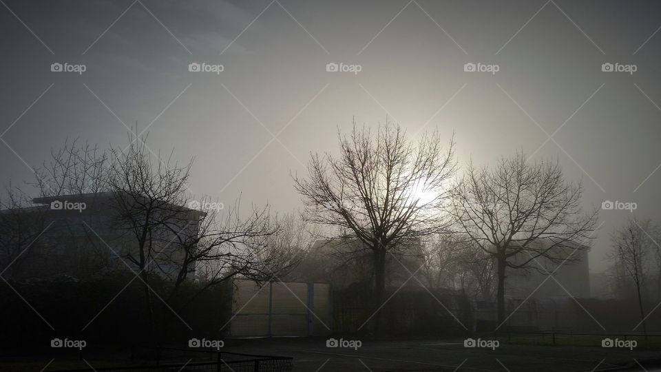 Foggy morning in Bucharest