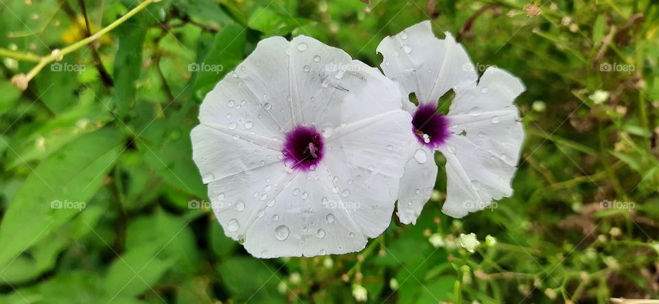 Cant compare anything with nature.