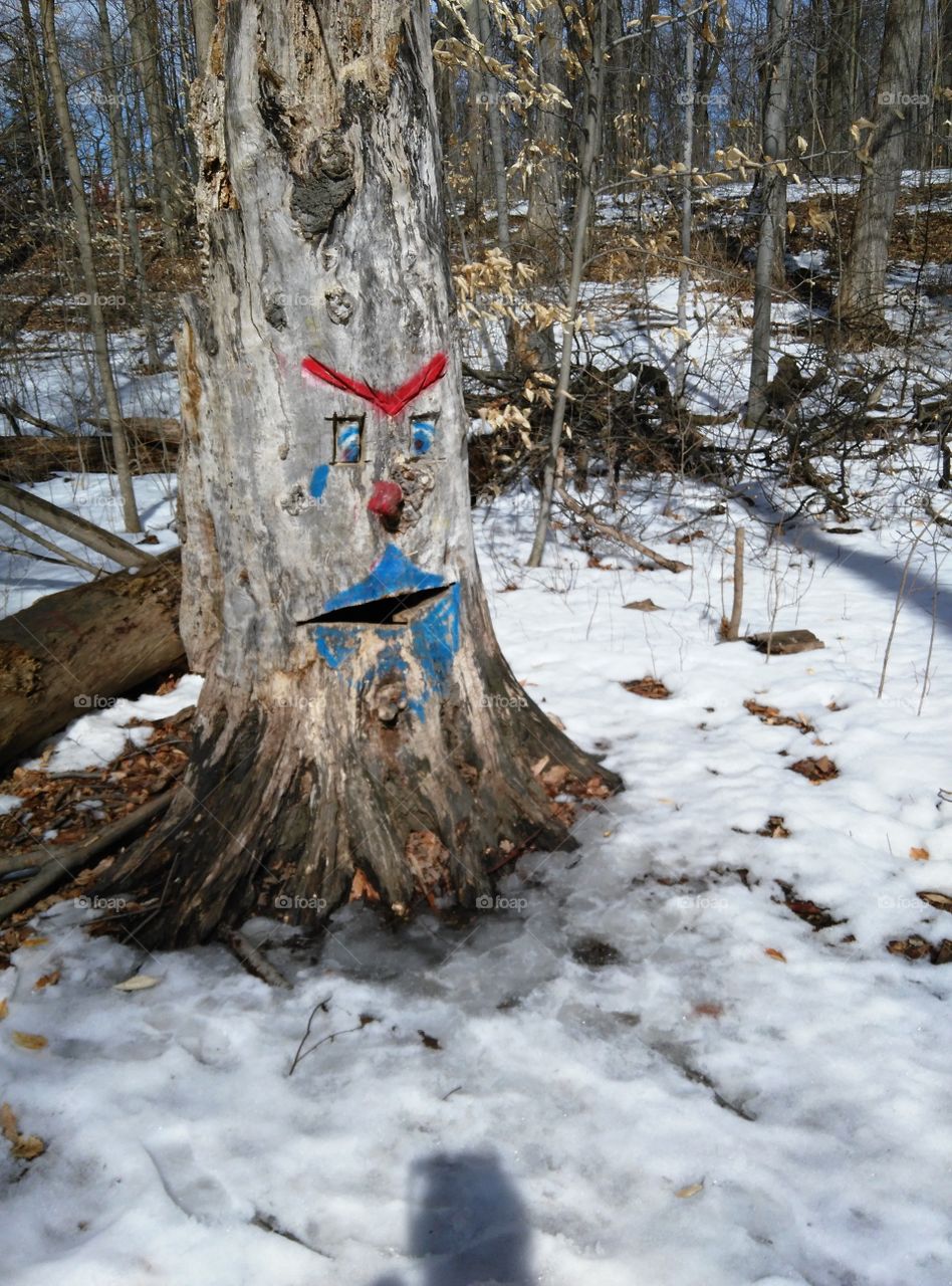 graffiti tree in winter