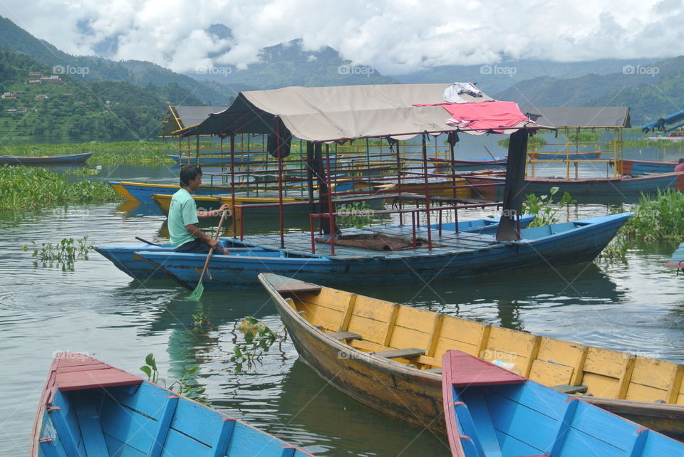 Local Paddling on Phewa Lake in Nepal. Local on Phewa lake paddling to the temple in the middle. Phewa Lake in Pokhara, Nepal