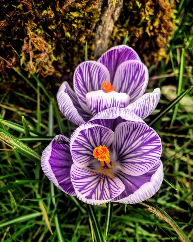 Spring has sprung 