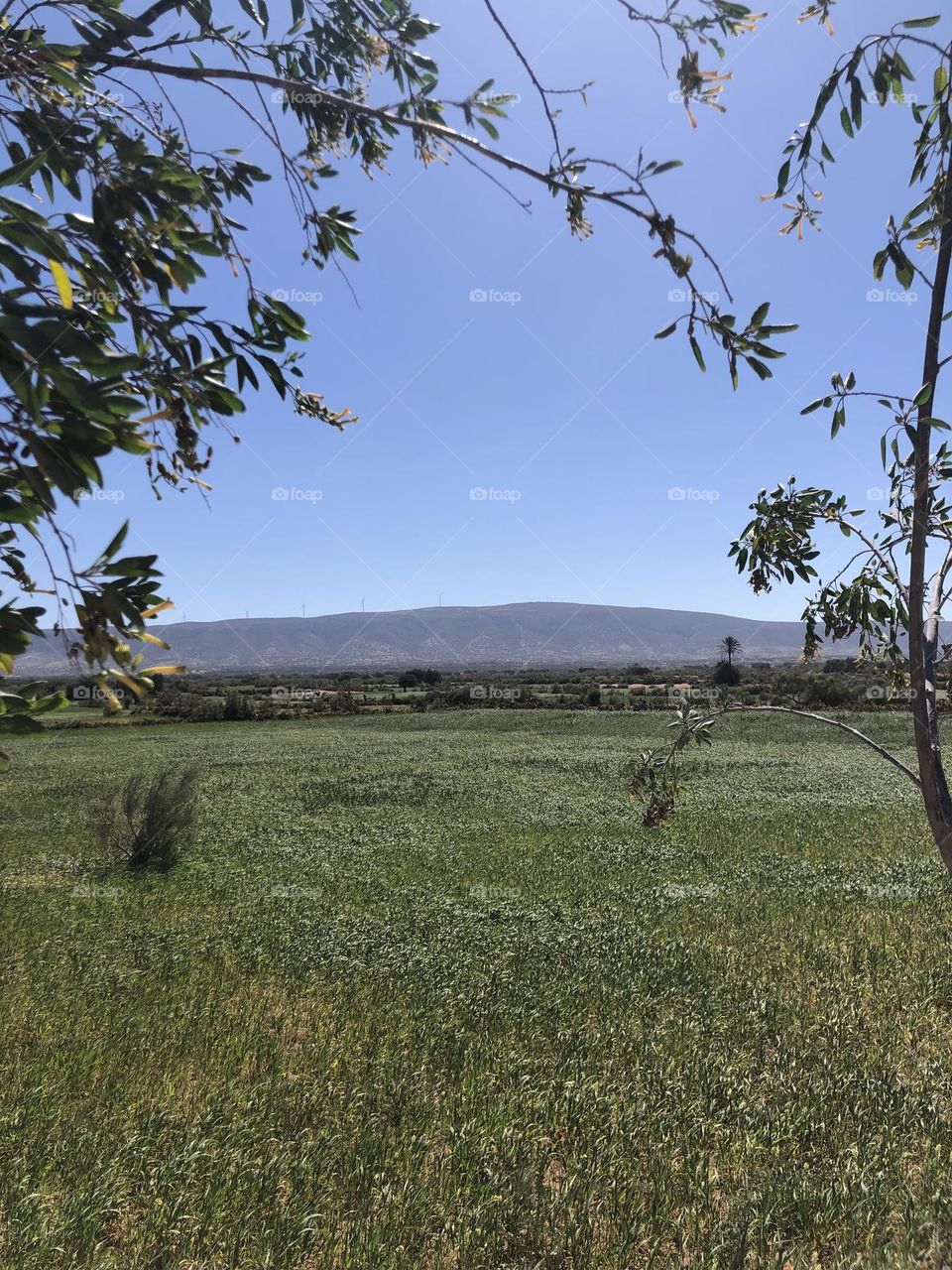 Beautiful field and view to landscape.