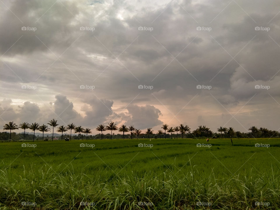 The beautiful scenery here in the summer