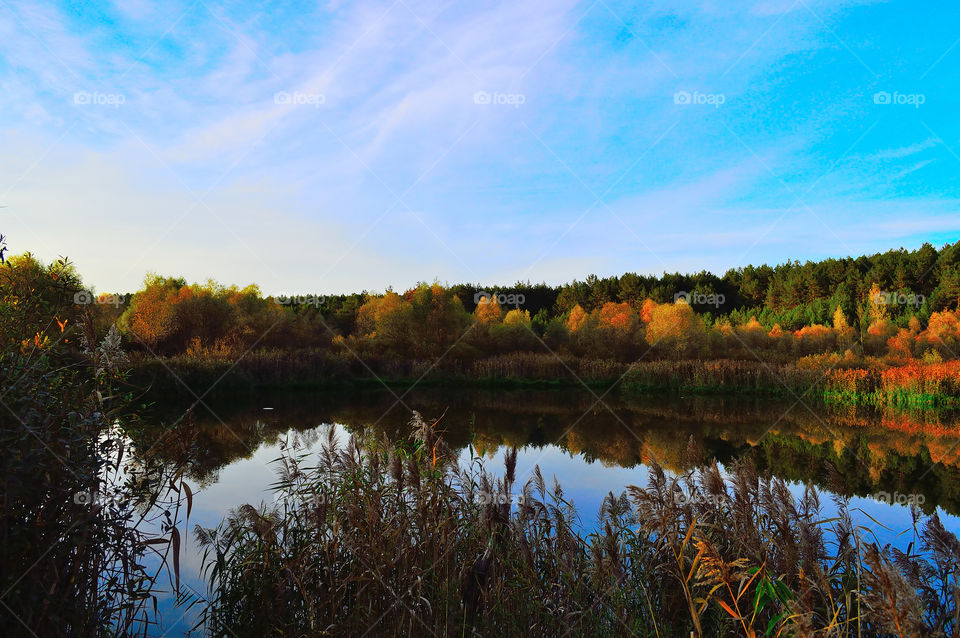 sunset on a forest lake