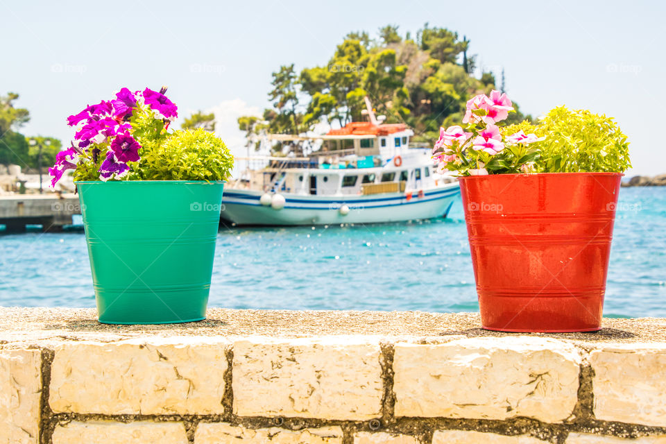 Colorful Flower Pots At Seascape