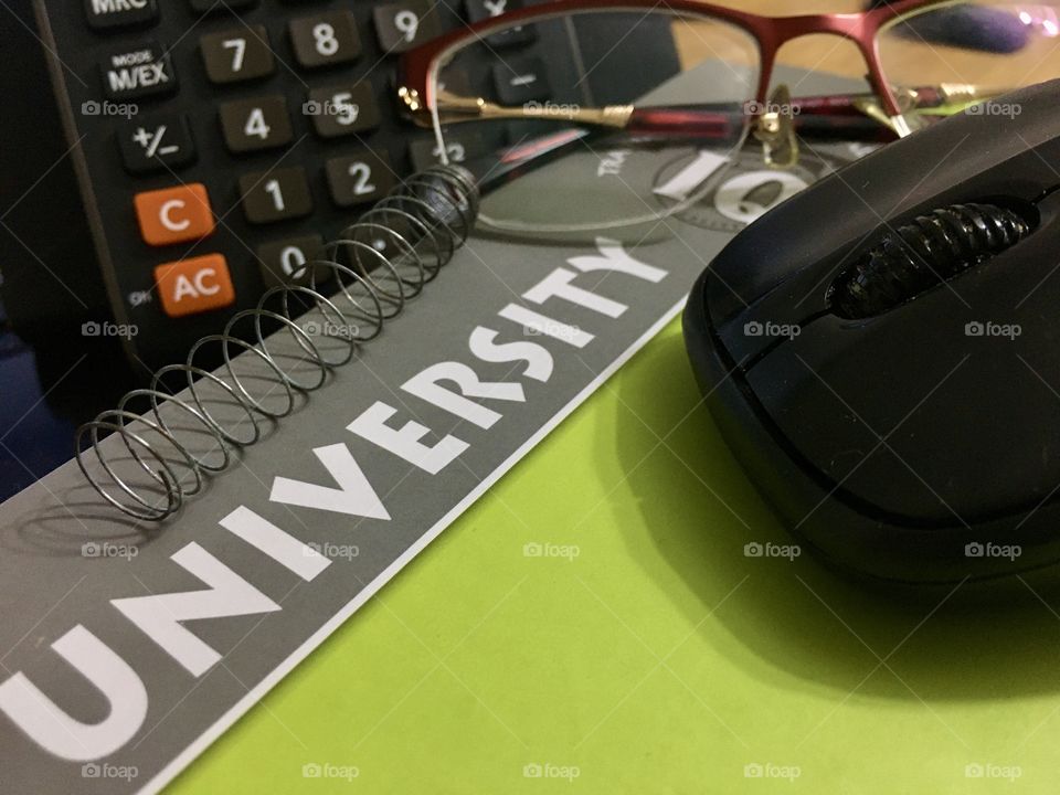 University of Business