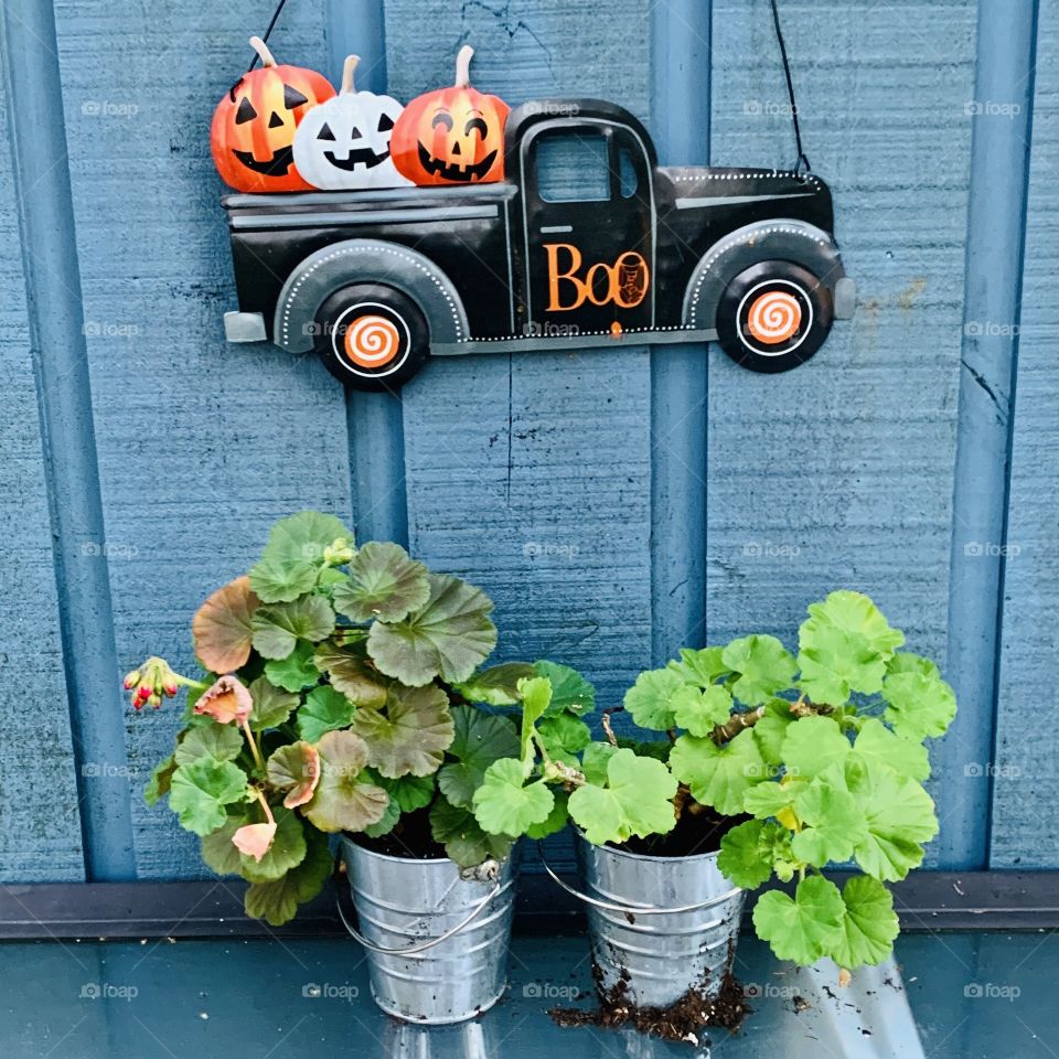 Happy Halloween 🎃