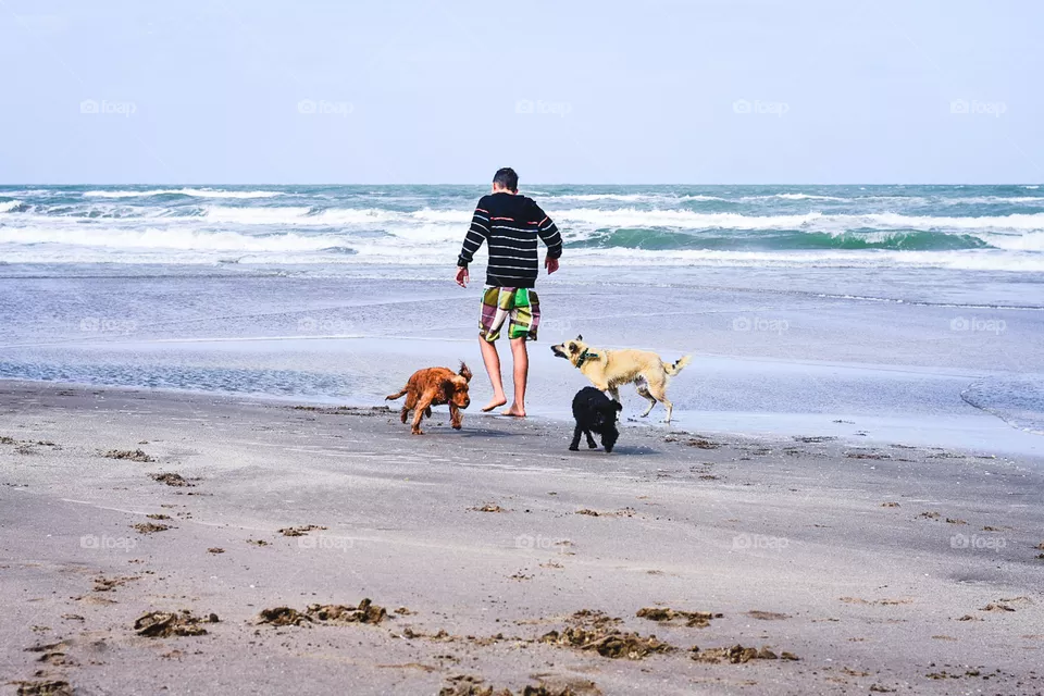 paseando con mis perros en la playa