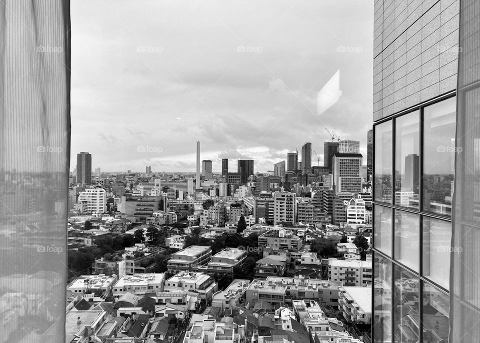 View from the window