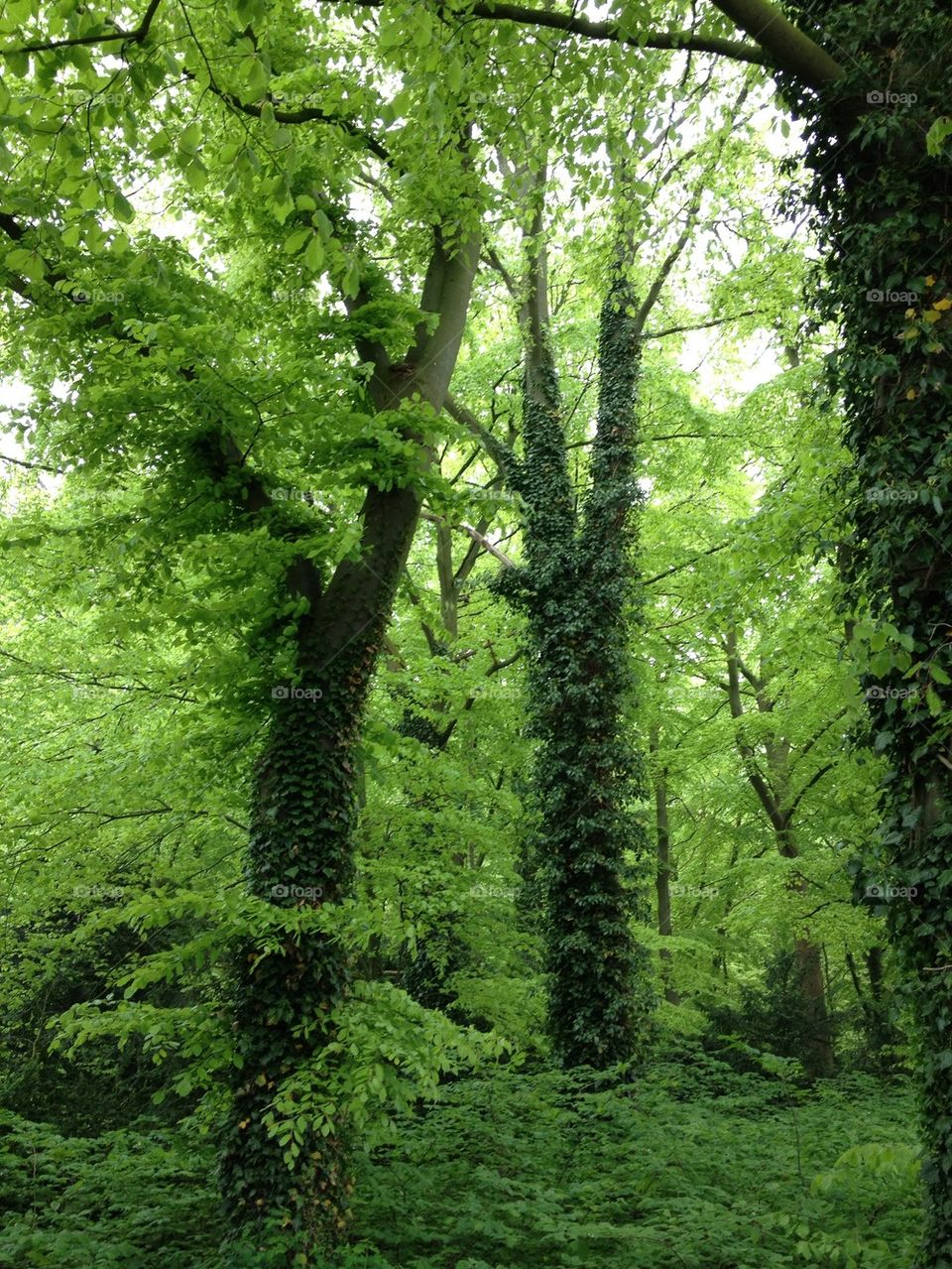 landscape green malmö nature by salle