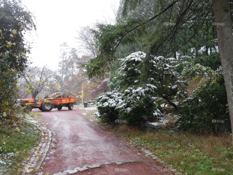 Parc de mariemont , la Louvière