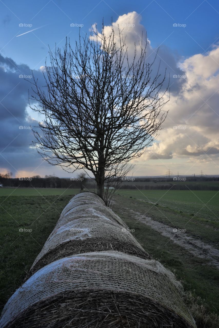 landscape in Germany