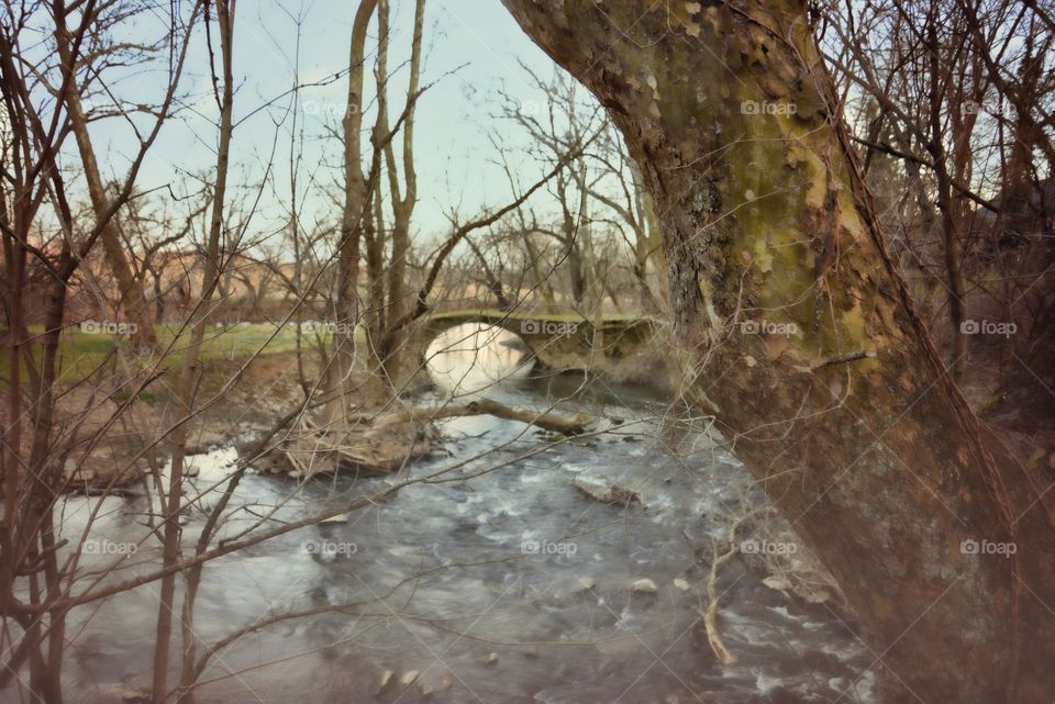 moss covered bridge. wooded stream