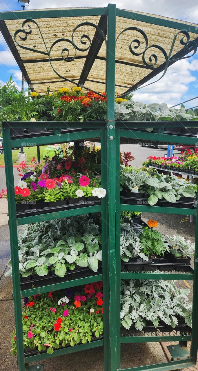 I love Spring flowers-garden flower pots for sale on green metal heart-shaped racks outside store in Oregon