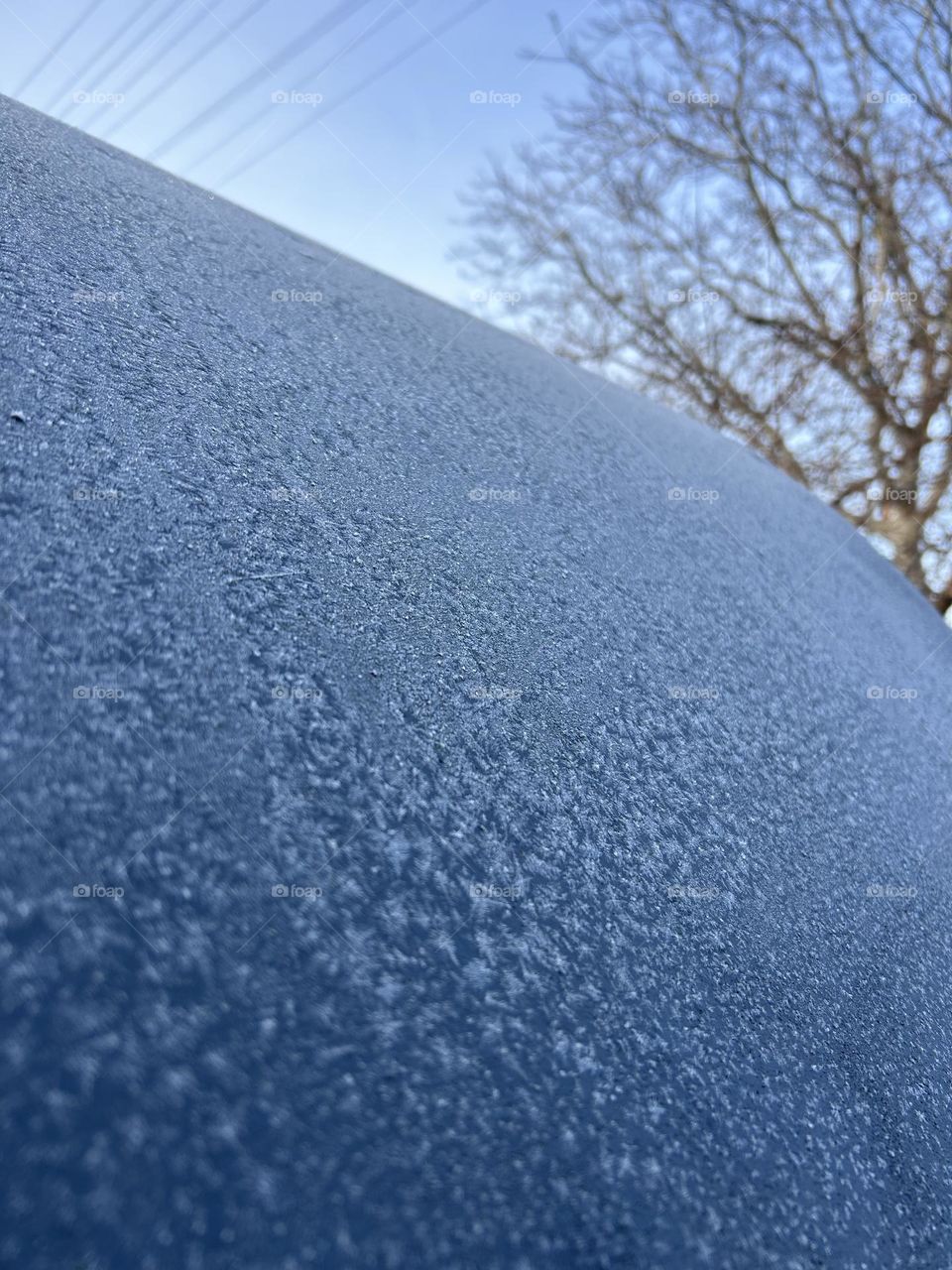 frost at the moment