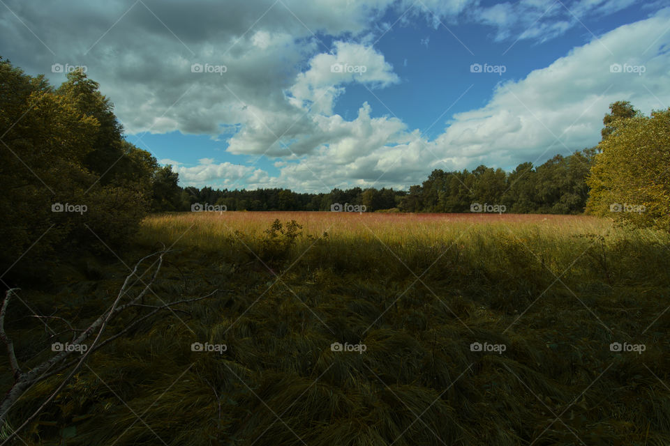 Landscape with clouds