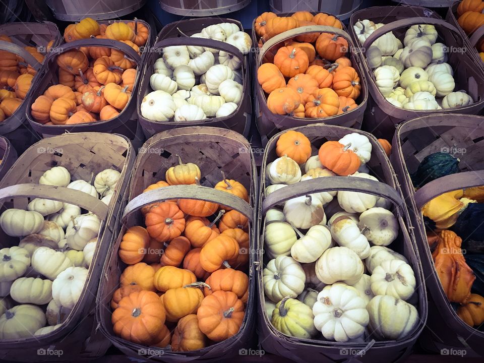 White and orange pumpkins in wicker baskets 