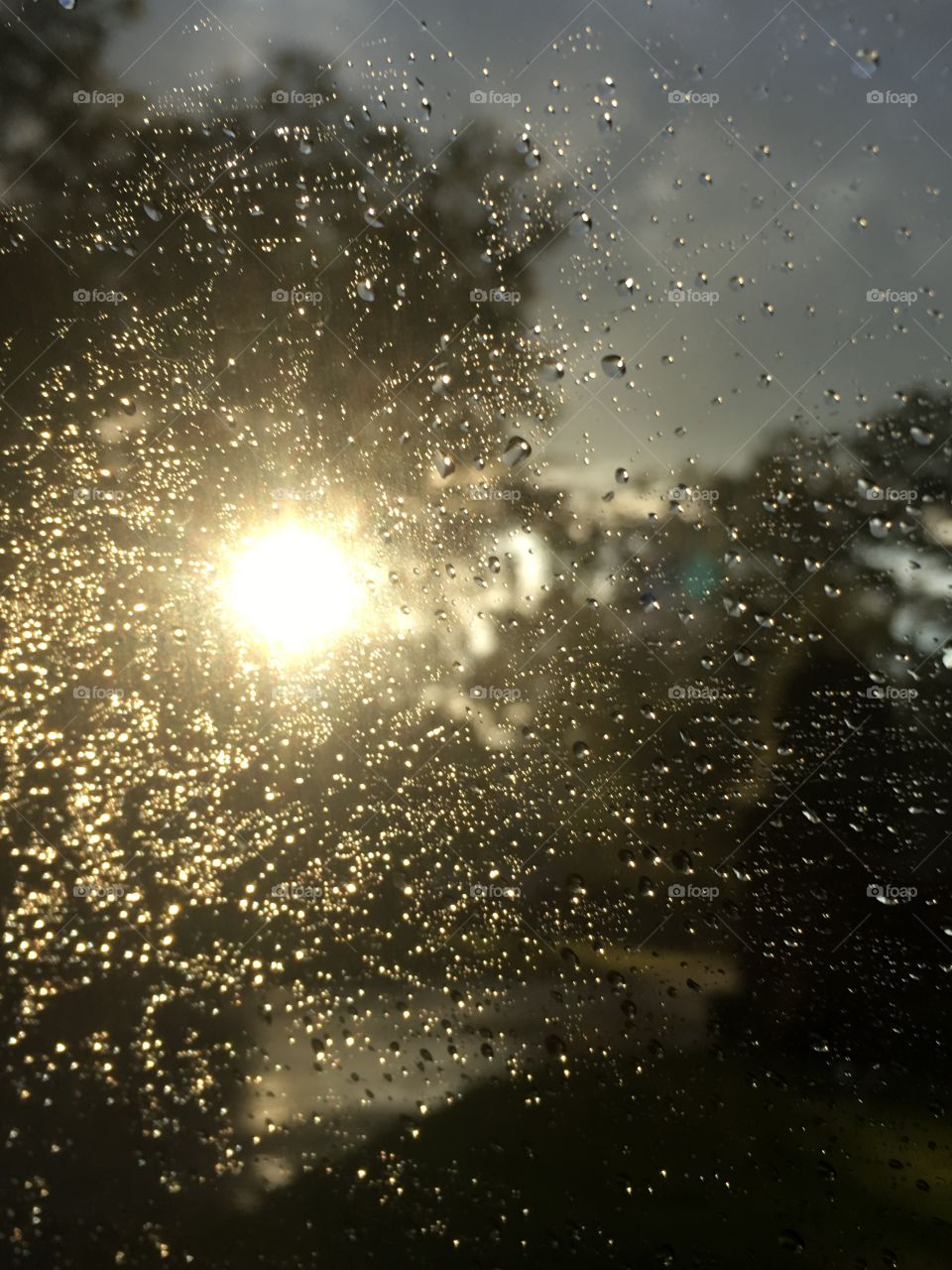 Sun through the rain