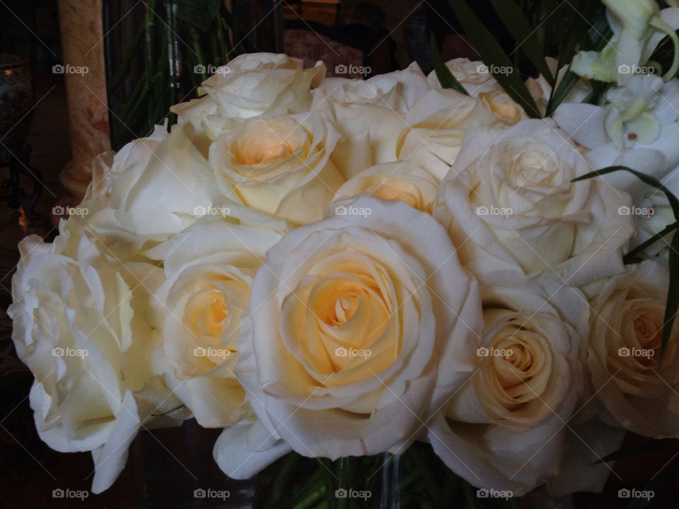 yellow rose roses bouquet by mcrisrivera