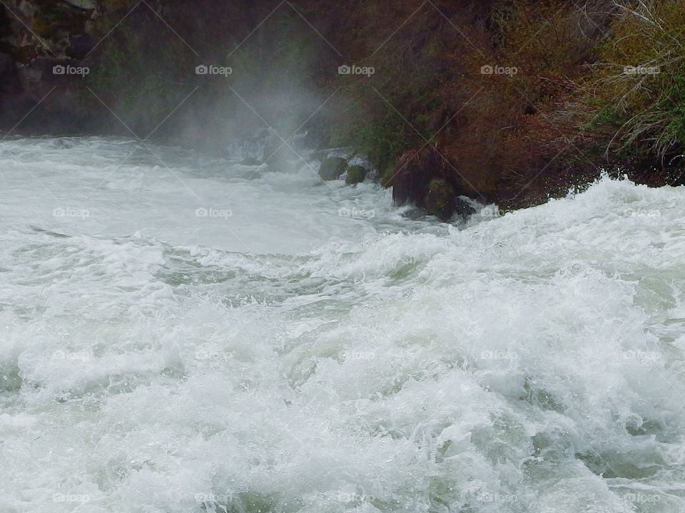 The roaring waters of the Deschutes River at Dillon Falls in the forest with spring runoff rushing through its rock canyon covered in hardened lava rock, moss, bushes, and ponderosa pine trees. 