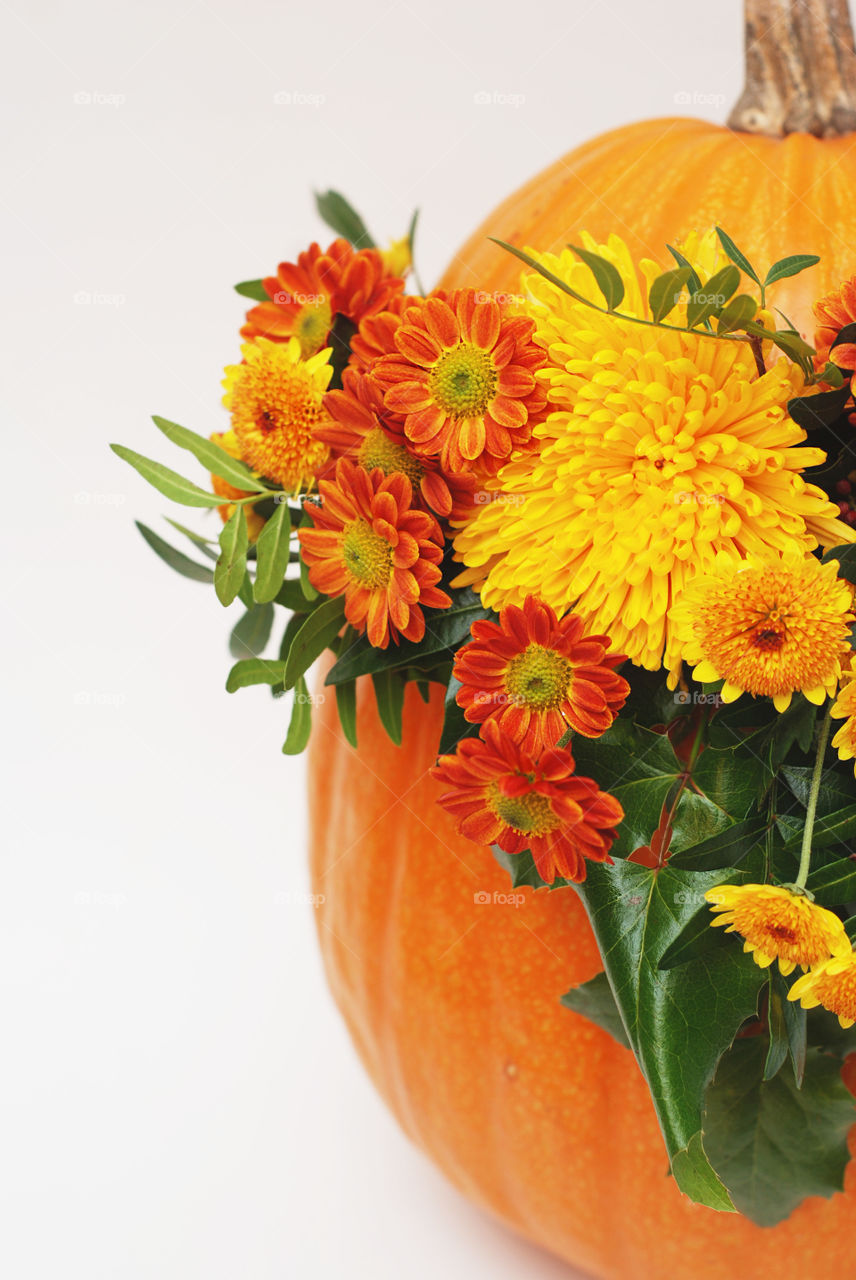 Autumn flower arrangement in pumpkin