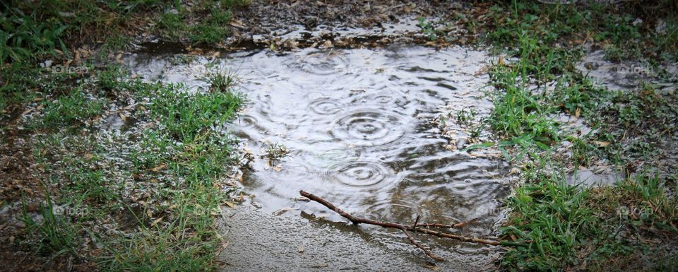 Puddle during Rain