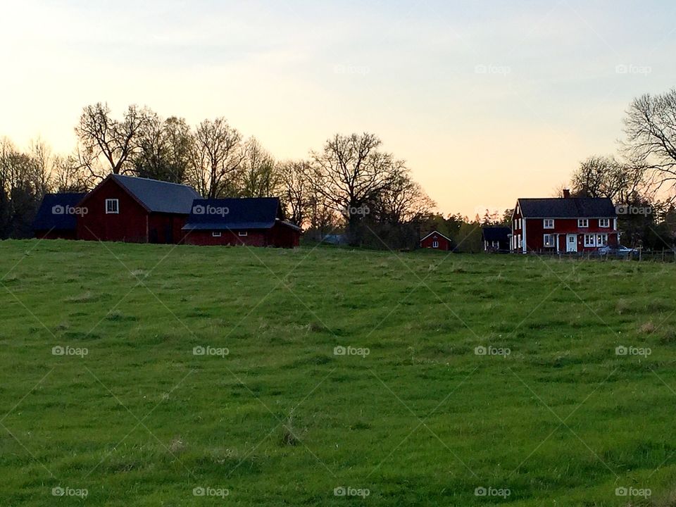 Landscape, Barn, Farm, Agriculture, House