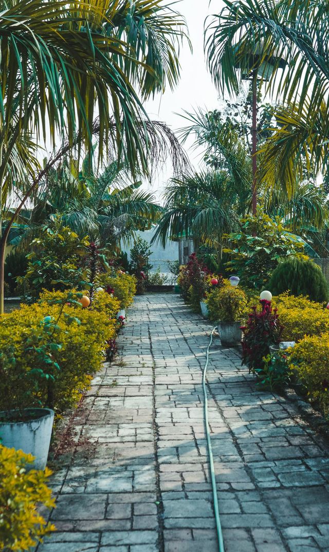 Beautiful garden 