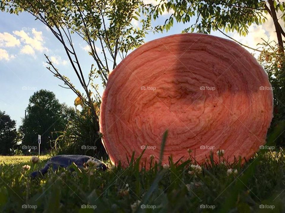 Single mom, itchylation, family time