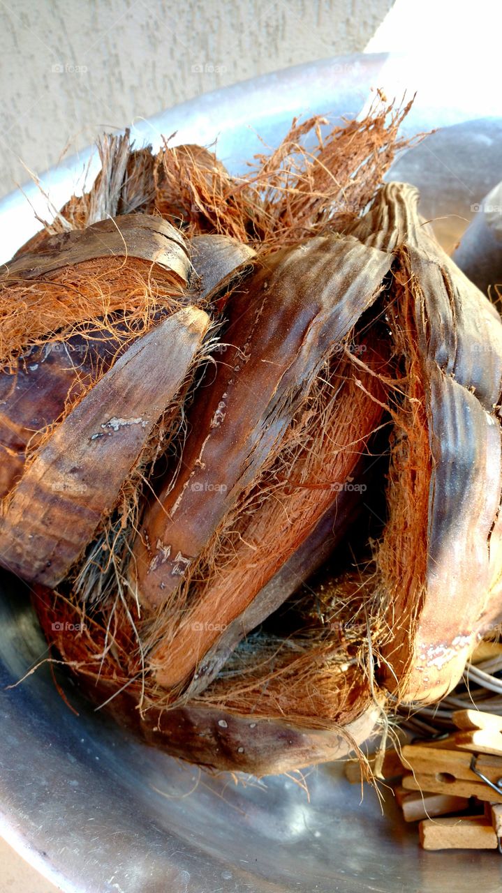 Vegetal seco. Casca de côco.