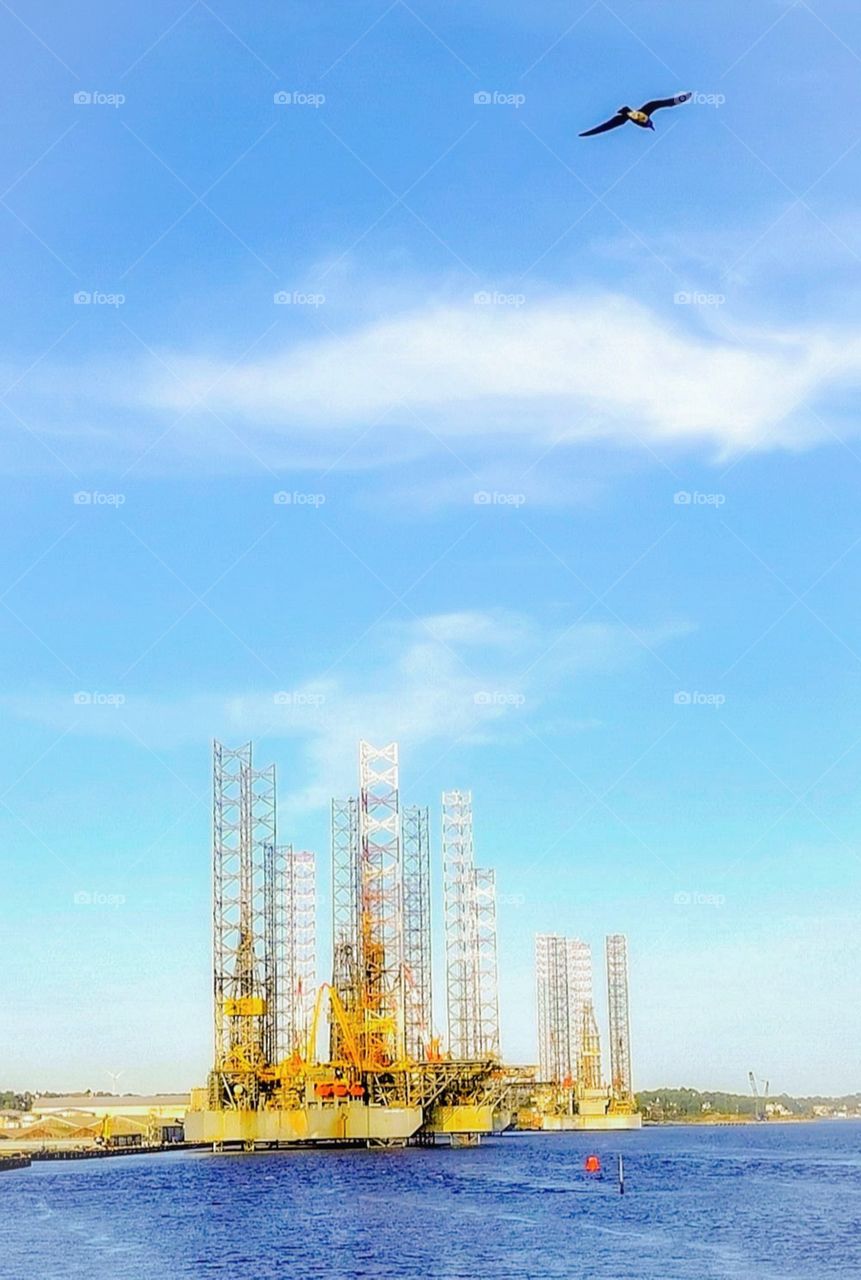 Dundee oil rigs