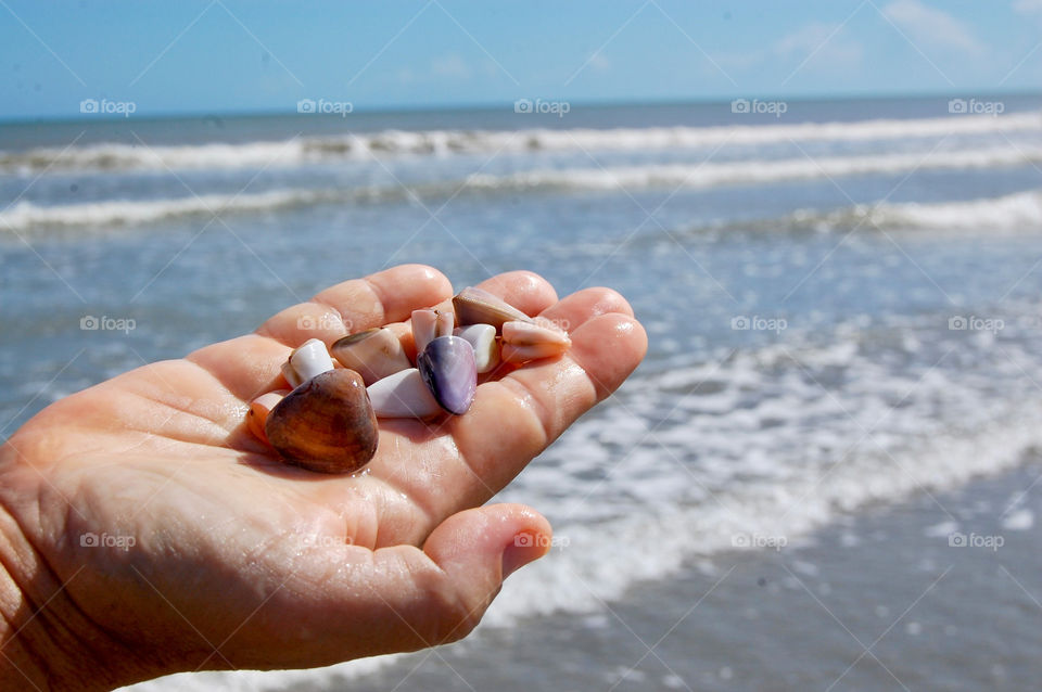 Small coloured clams in the hand with sea background 